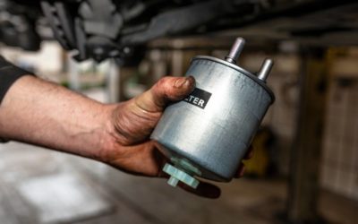 What is the function of the fuel filter and when to change it?
